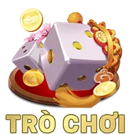 Chính sách bảo mật GenVIP